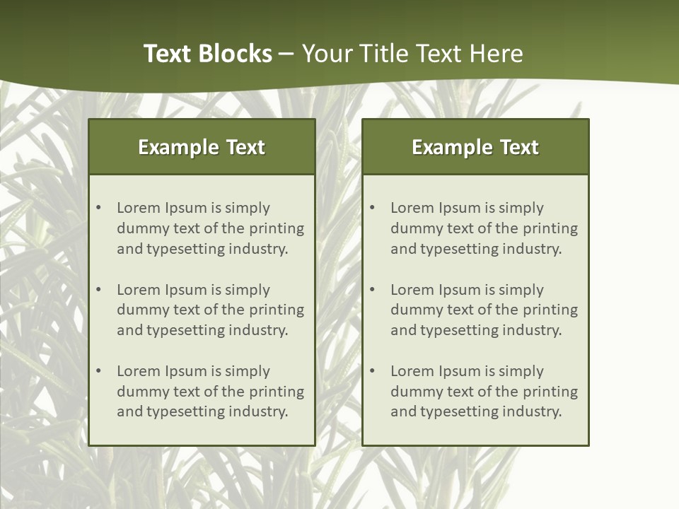 Tree Evergreen Spice PowerPoint Template