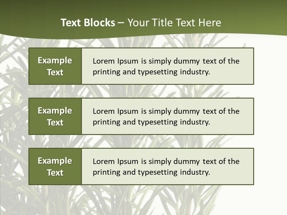Tree Evergreen Spice PowerPoint Template