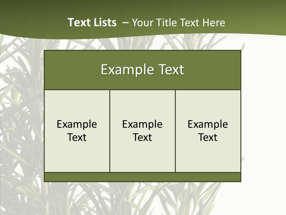 Tree Evergreen Spice PowerPoint Template