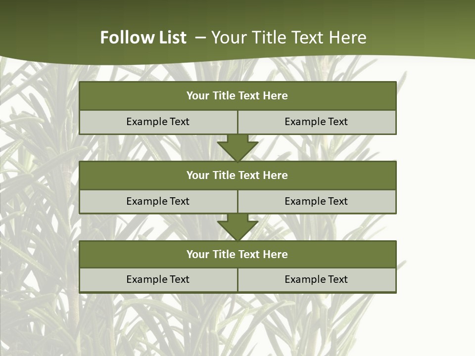 Tree Evergreen Spice PowerPoint Template