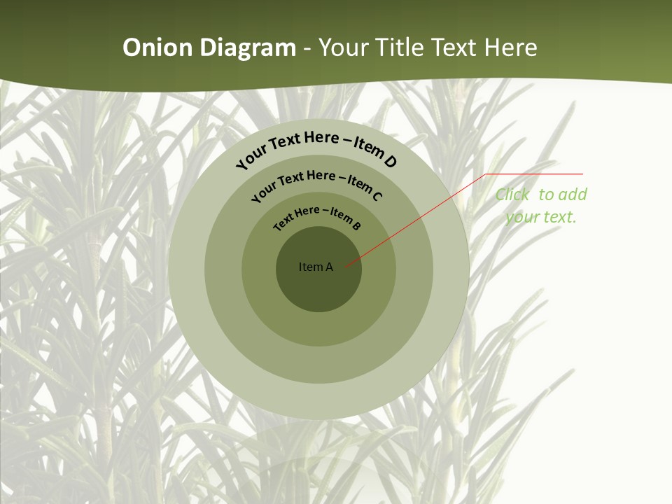 Tree Evergreen Spice PowerPoint Template