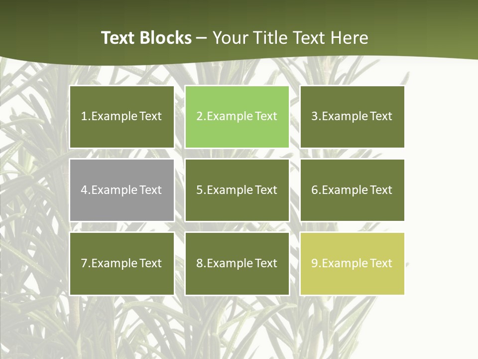 Tree Evergreen Spice PowerPoint Template