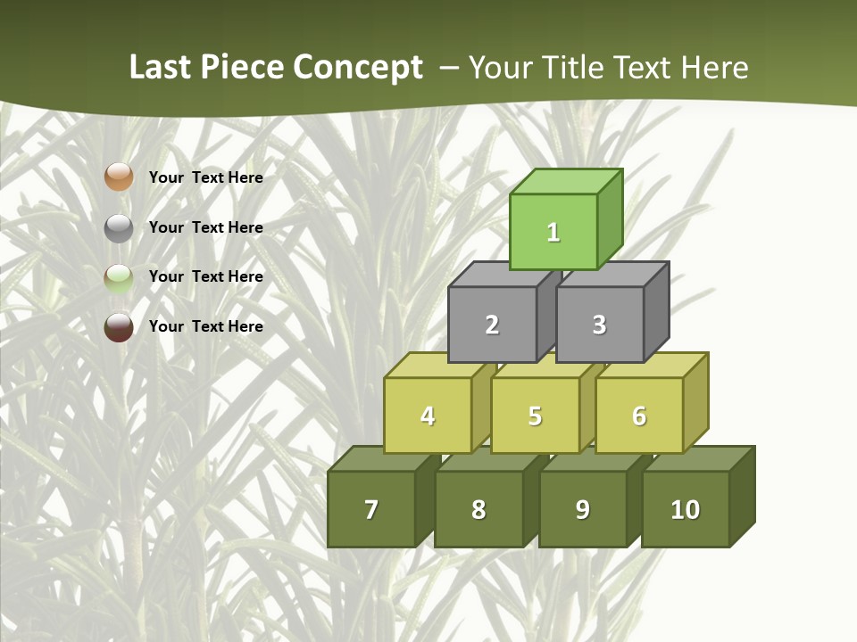 Tree Evergreen Spice PowerPoint Template
