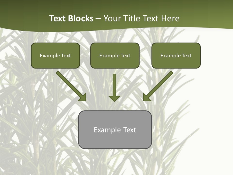 Tree Evergreen Spice PowerPoint Template