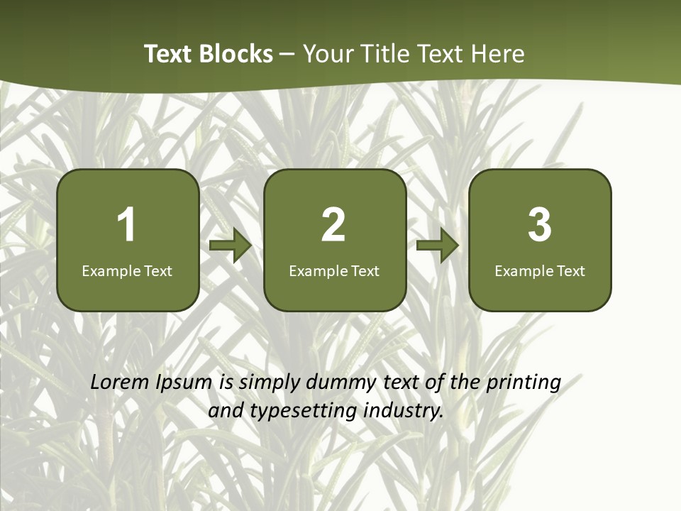 Tree Evergreen Spice PowerPoint Template