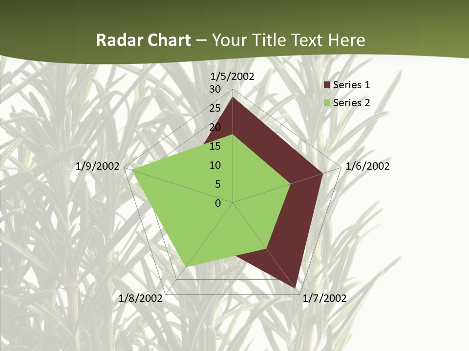 Tree Evergreen Spice PowerPoint Template