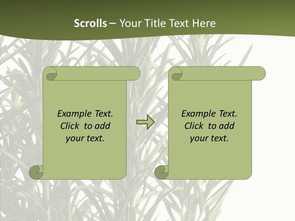 Tree Evergreen Spice PowerPoint Template
