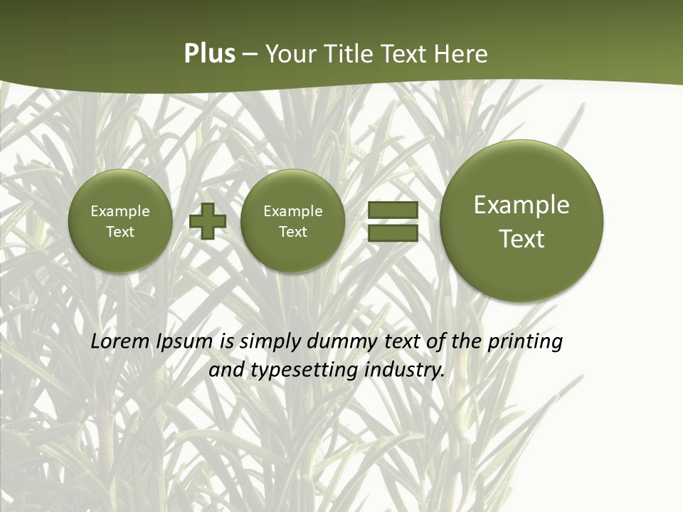 Tree Evergreen Spice PowerPoint Template
