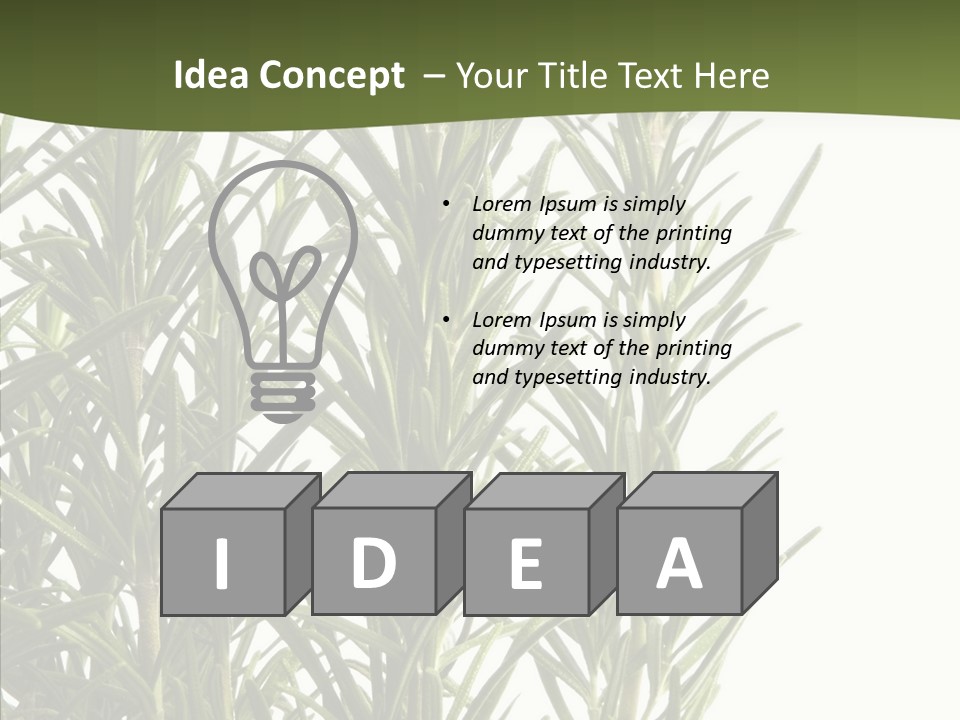 Tree Evergreen Spice PowerPoint Template