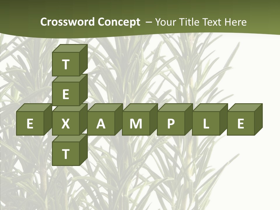 Tree Evergreen Spice PowerPoint Template