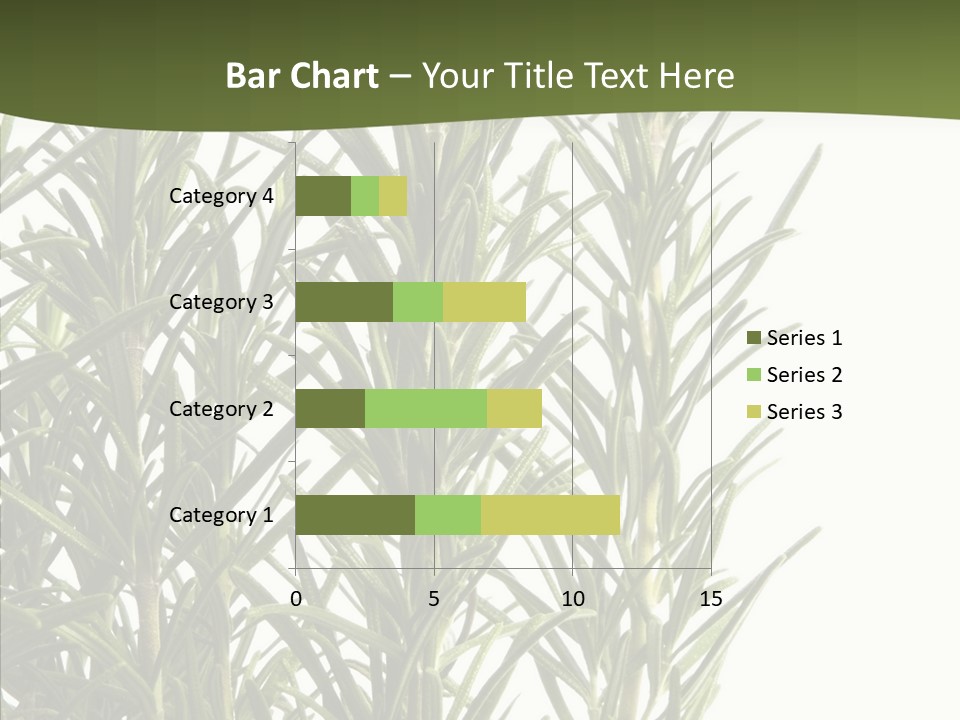 Tree Evergreen Spice PowerPoint Template