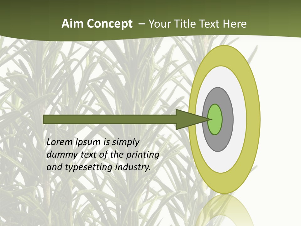 Tree Evergreen Spice PowerPoint Template