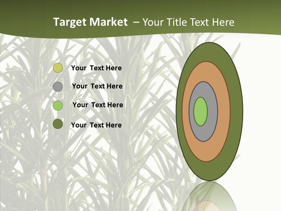 Tree Evergreen Spice PowerPoint Template
