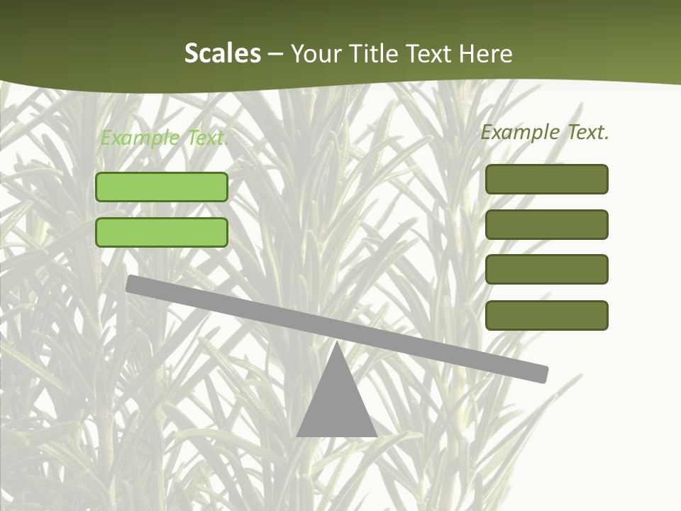 Tree Evergreen Spice PowerPoint Template