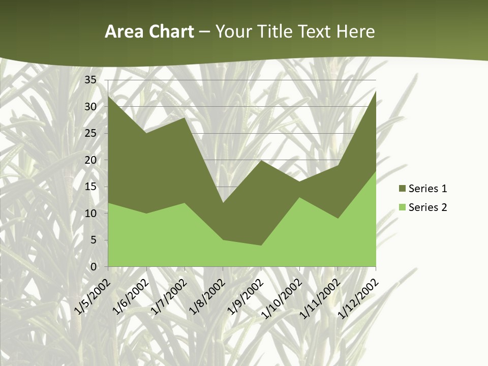 Tree Evergreen Spice PowerPoint Template