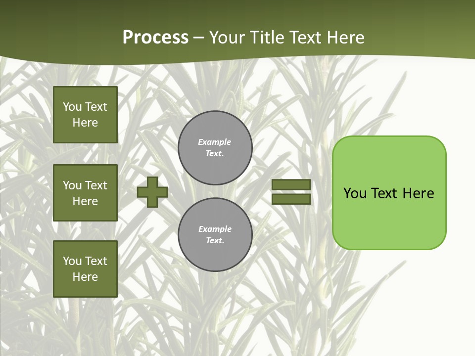 Tree Evergreen Spice PowerPoint Template