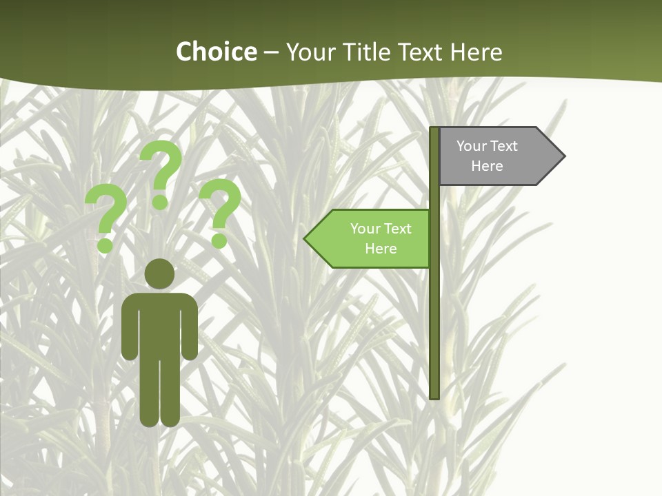 Tree Evergreen Spice PowerPoint Template