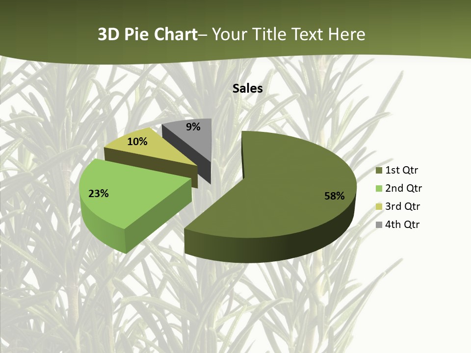 Tree Evergreen Spice PowerPoint Template
