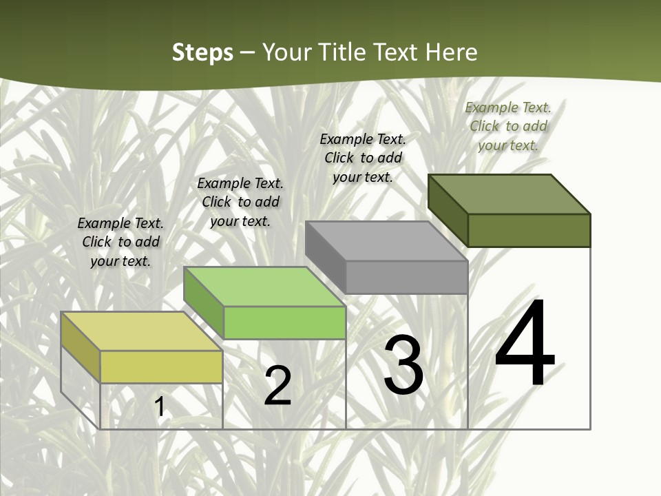 Tree Evergreen Spice PowerPoint Template