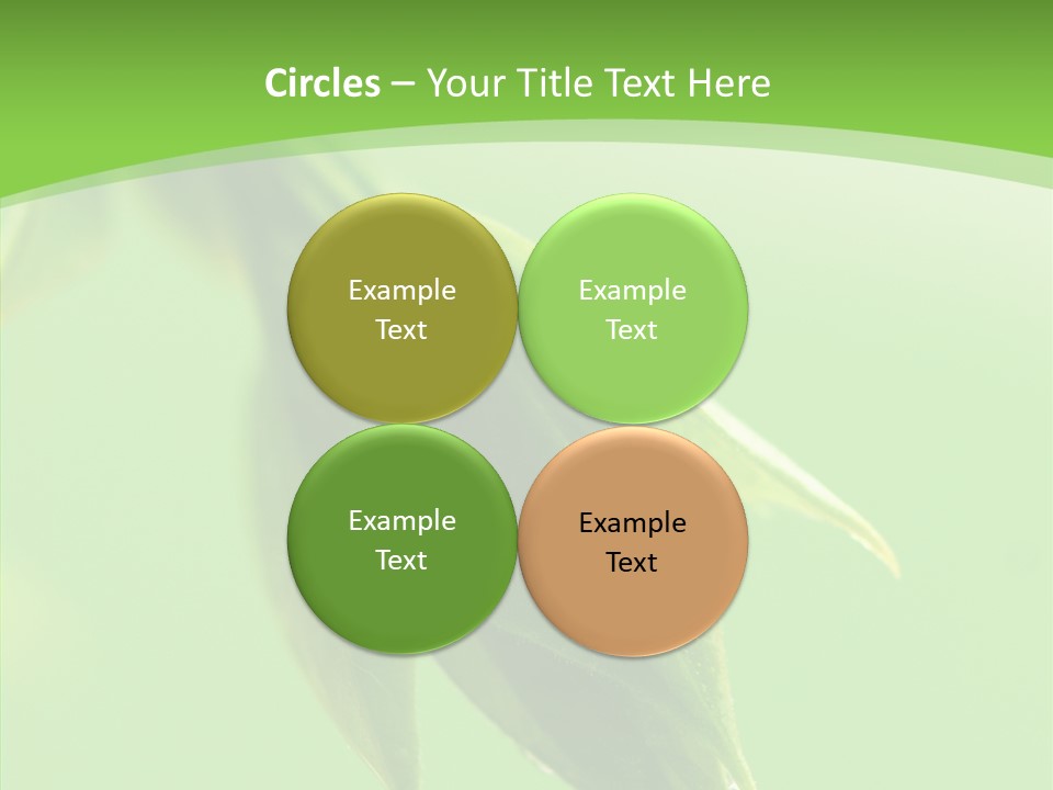 Bud Botanical Extreme PowerPoint Template