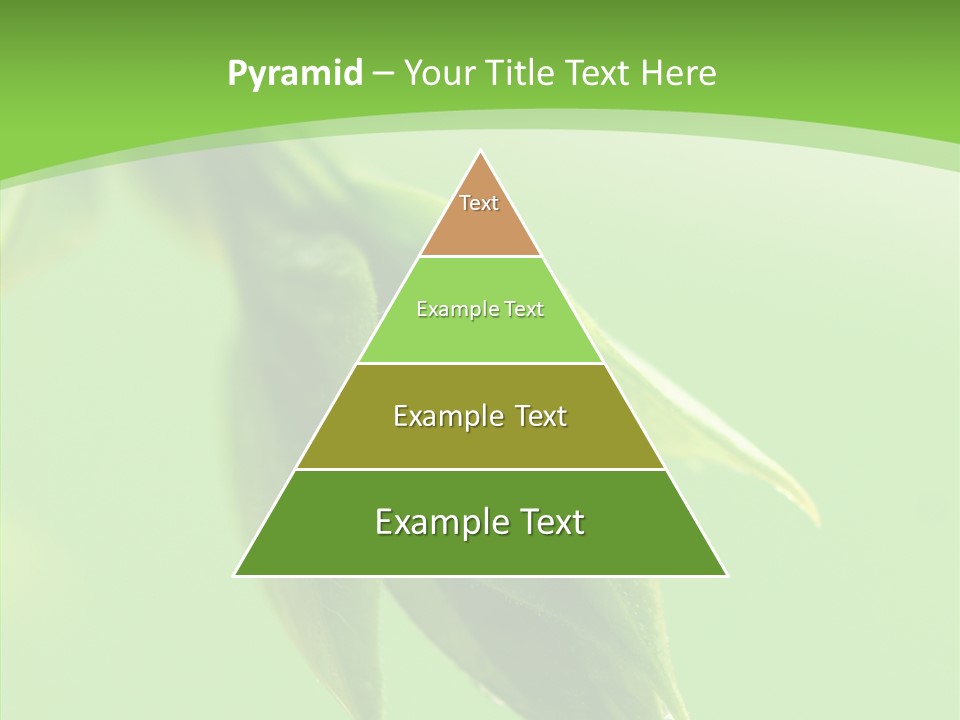 Bud Botanical Extreme PowerPoint Template