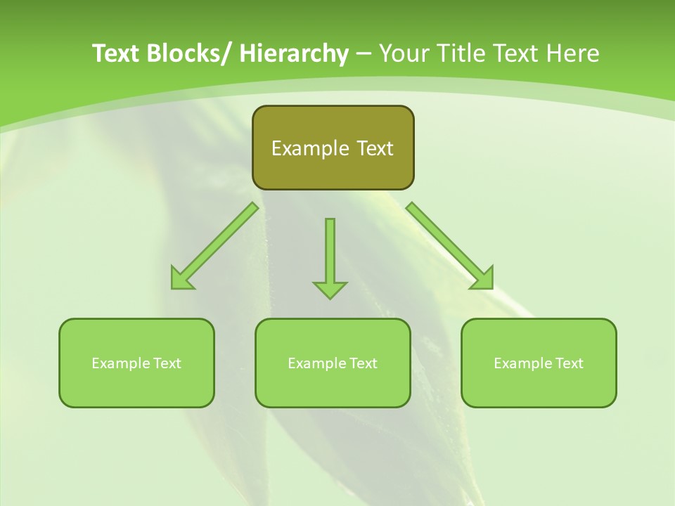 Bud Botanical Extreme PowerPoint Template
