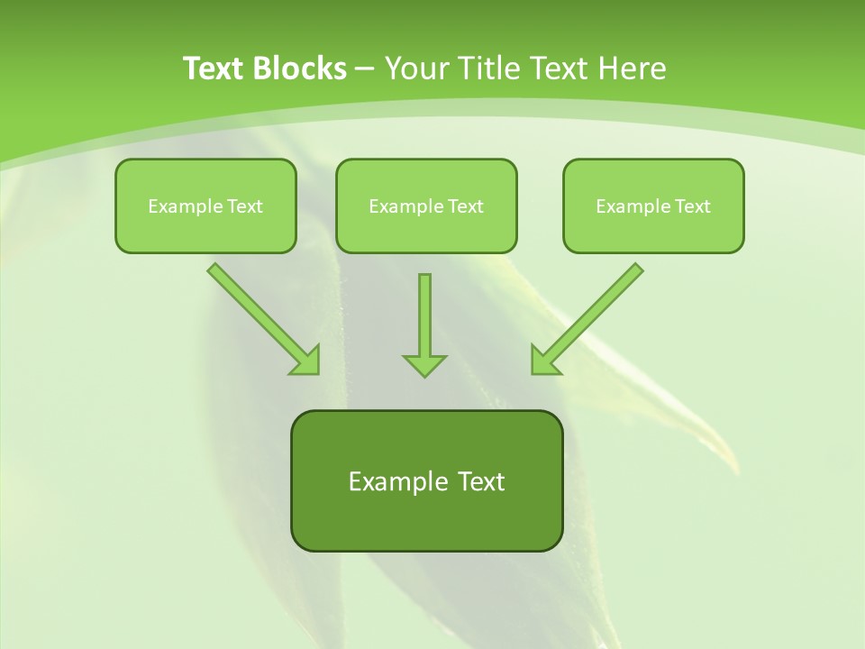 Bud Botanical Extreme PowerPoint Template