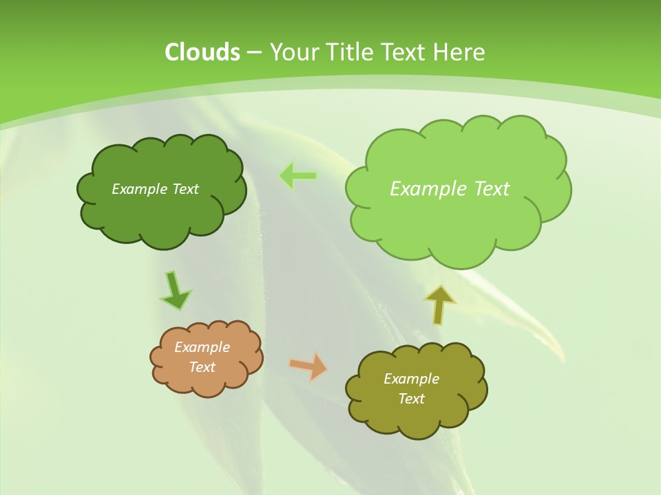 Bud Botanical Extreme PowerPoint Template