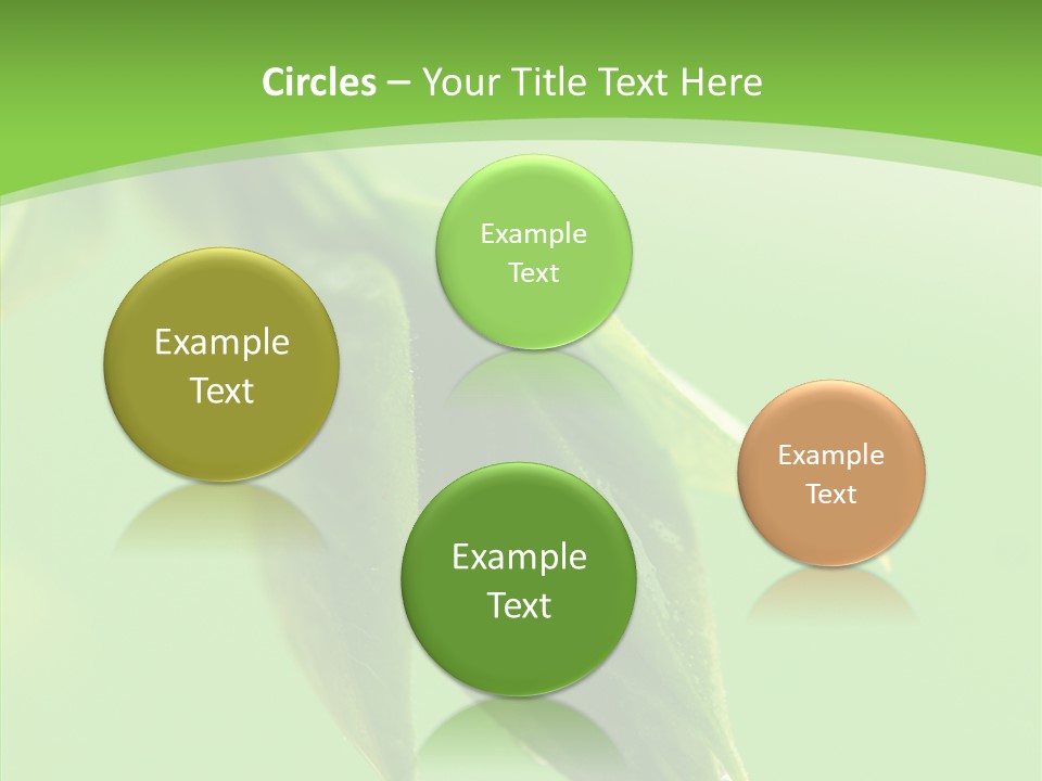 Bud Botanical Extreme PowerPoint Template