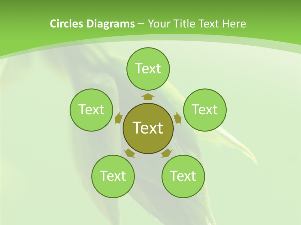 Bud Botanical Extreme PowerPoint Template