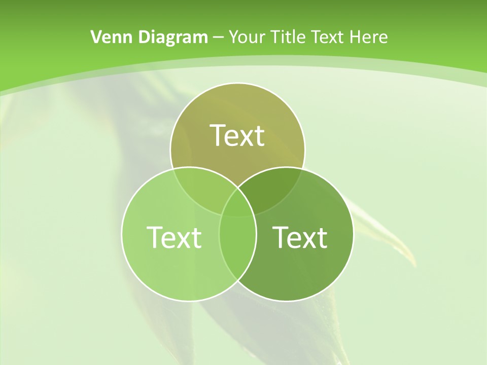 Bud Botanical Extreme PowerPoint Template