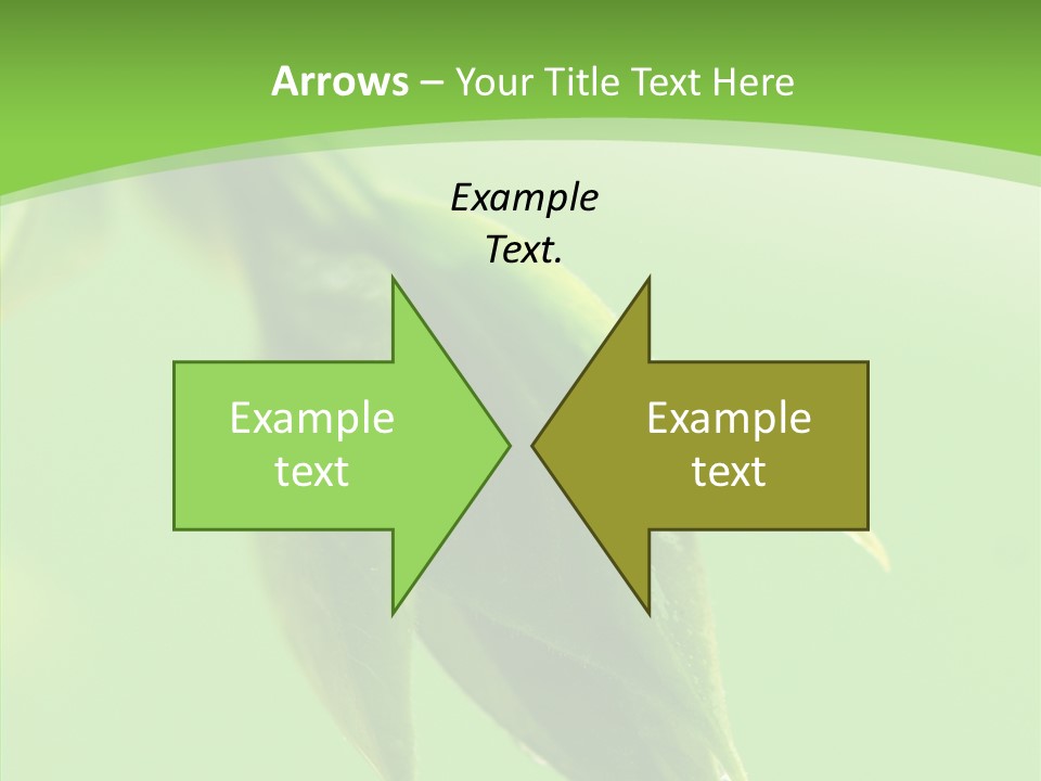 Bud Botanical Extreme PowerPoint Template