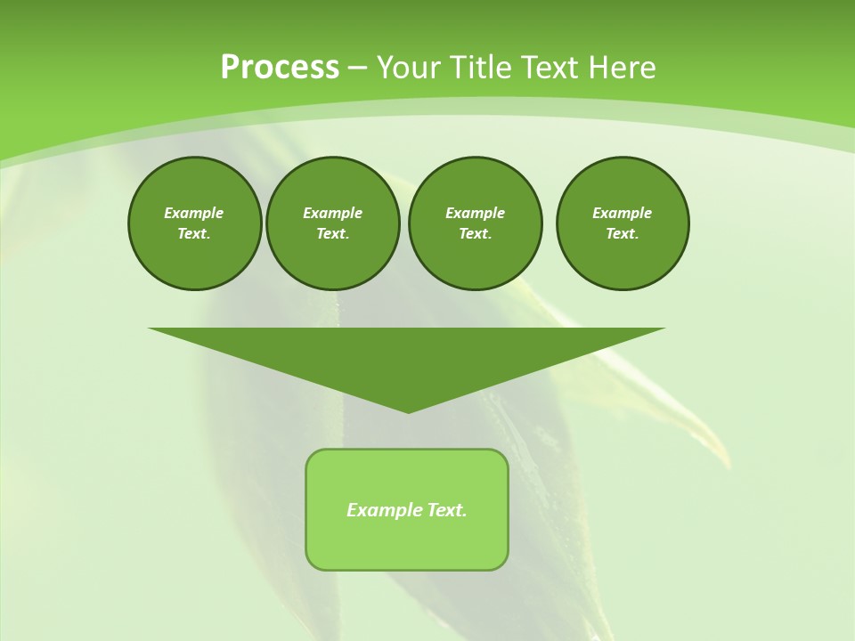 Bud Botanical Extreme PowerPoint Template