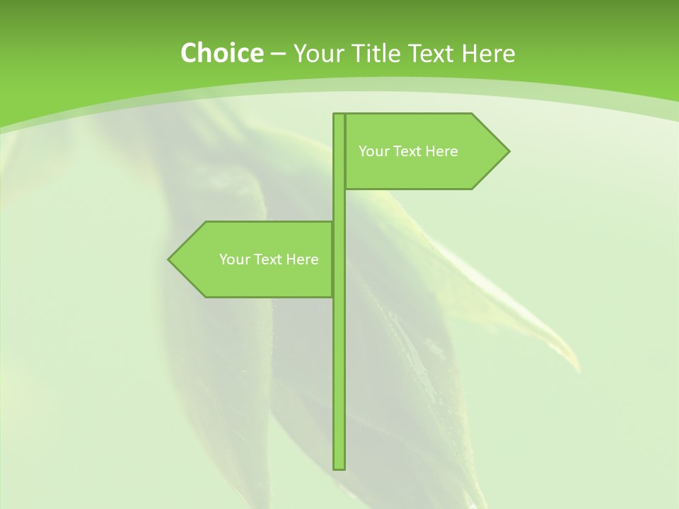 Bud Botanical Extreme PowerPoint Template