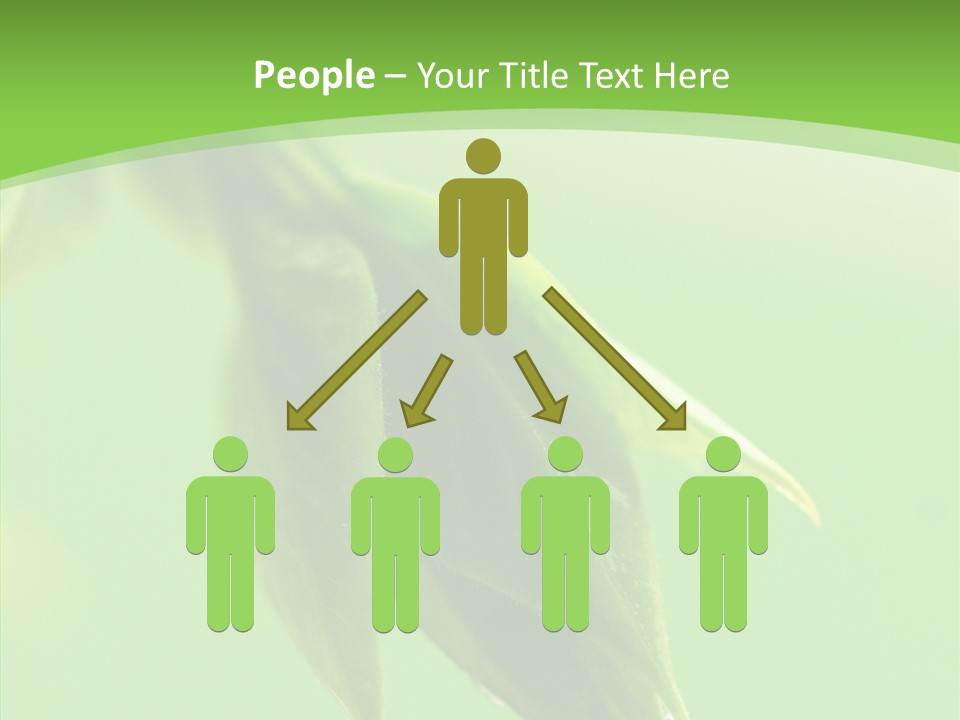 Bud Botanical Extreme PowerPoint Template