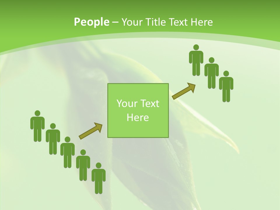 Bud Botanical Extreme PowerPoint Template