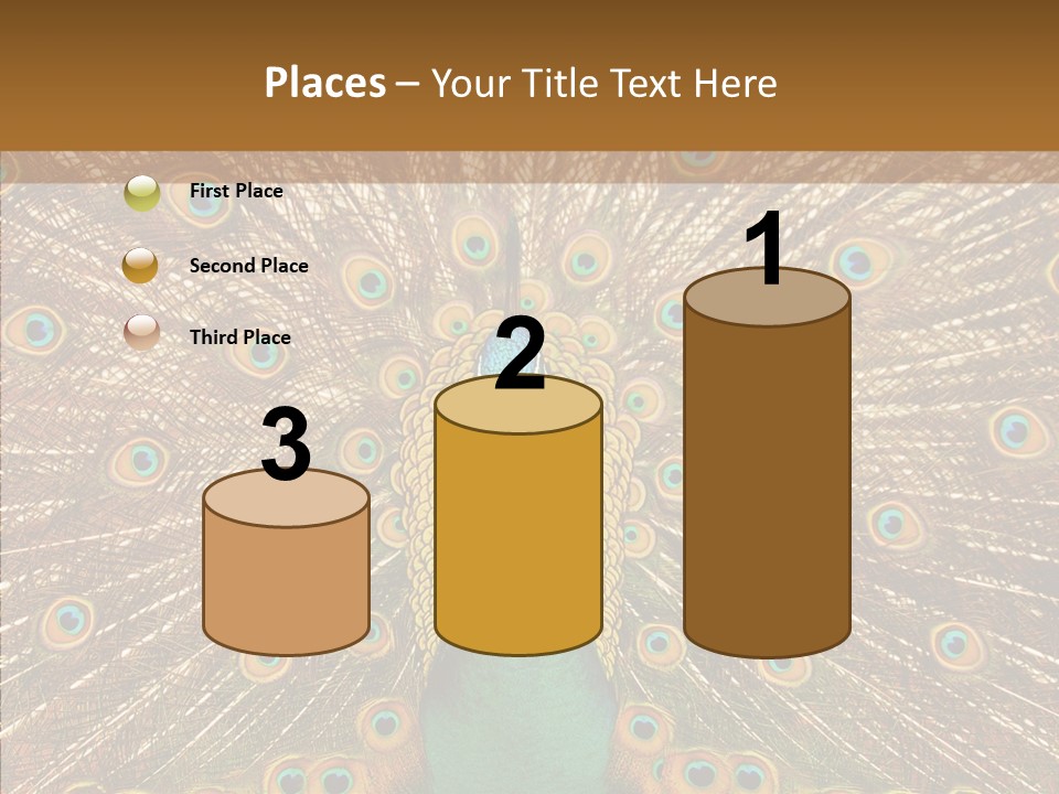 Texture Stunning Attraction PowerPoint Template