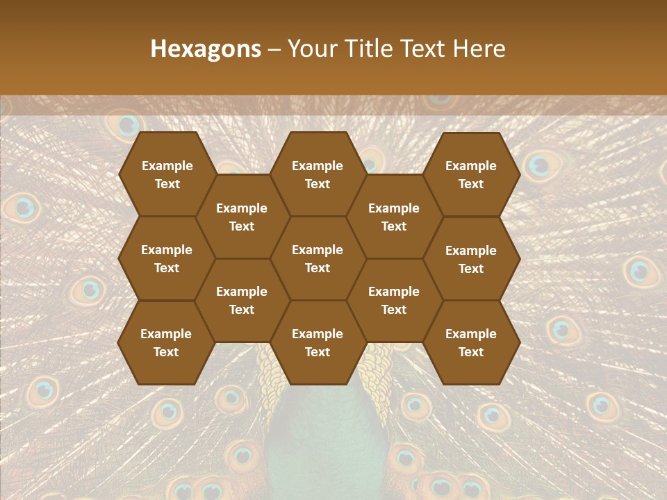 Texture Stunning Attraction PowerPoint Template