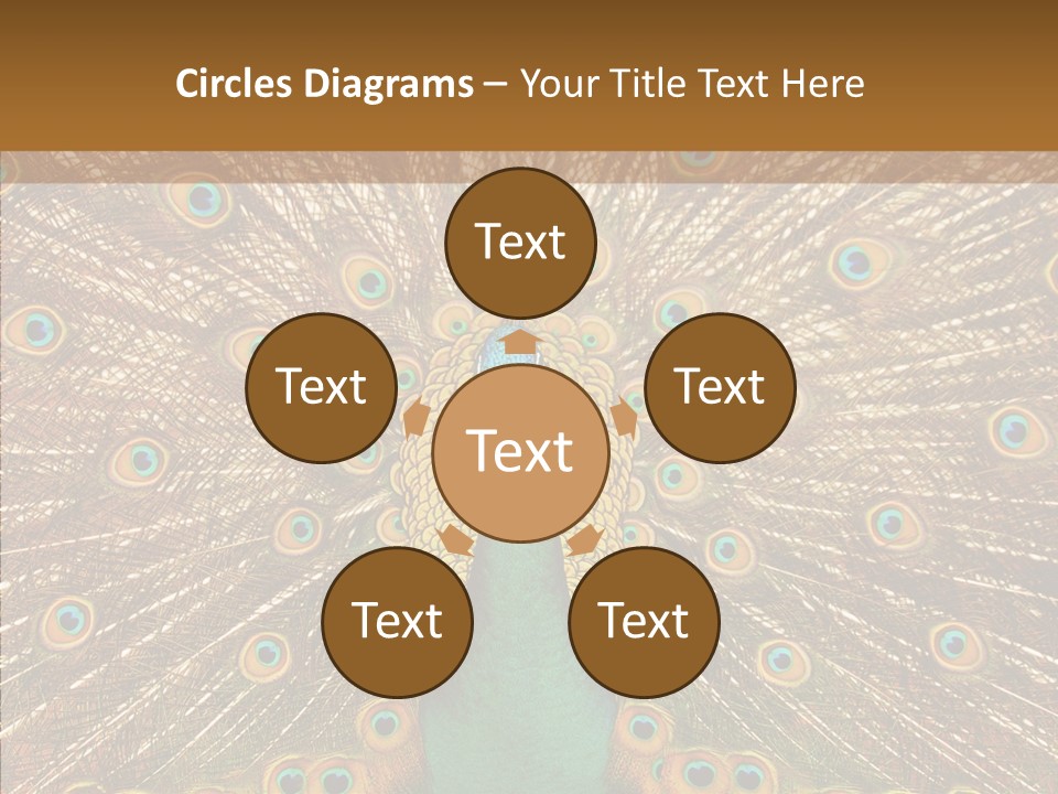 Texture Stunning Attraction PowerPoint Template