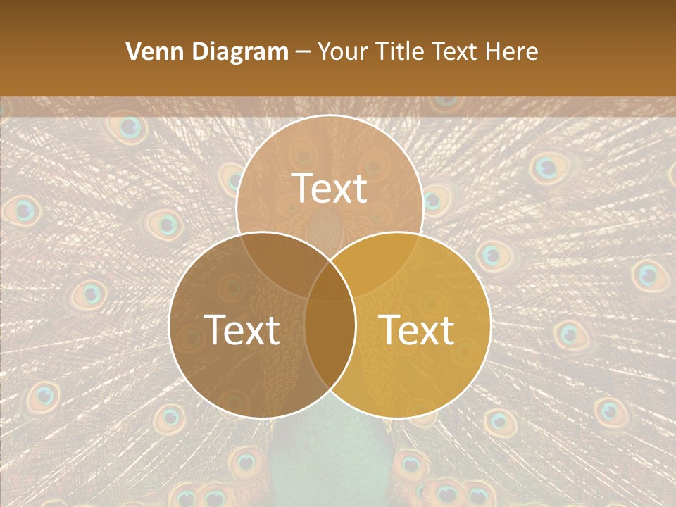 Texture Stunning Attraction PowerPoint Template