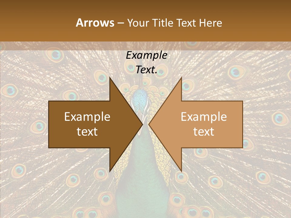 Texture Stunning Attraction PowerPoint Template