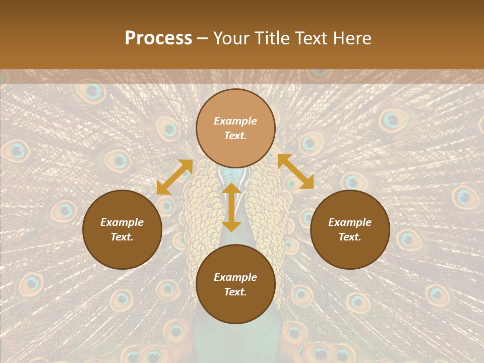 Texture Stunning Attraction PowerPoint Template