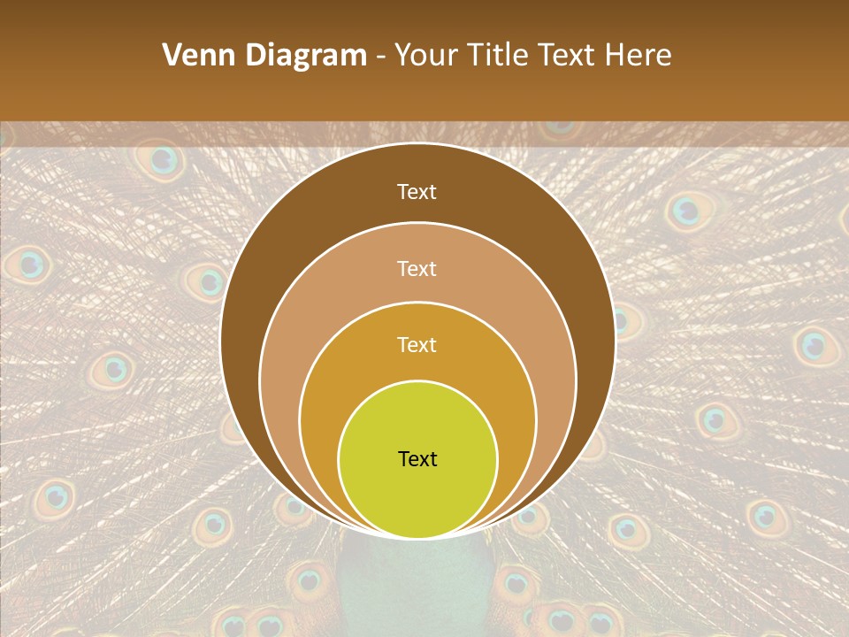 Texture Stunning Attraction PowerPoint Template