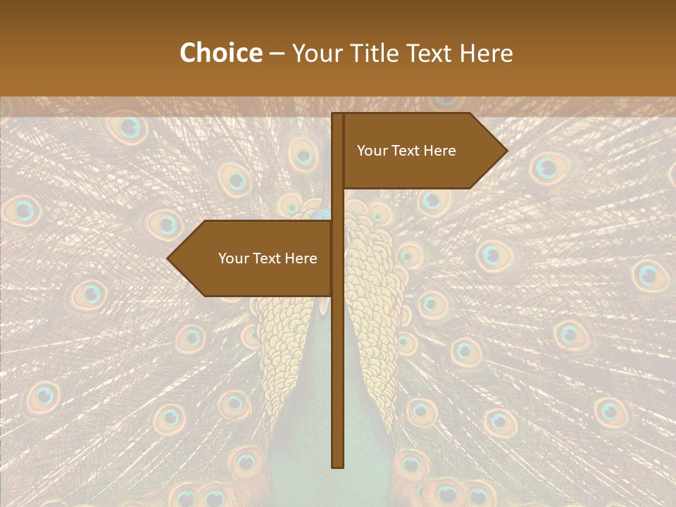 Texture Stunning Attraction PowerPoint Template