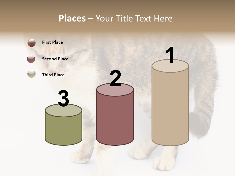 Grooming Smoke Sleep PowerPoint Template