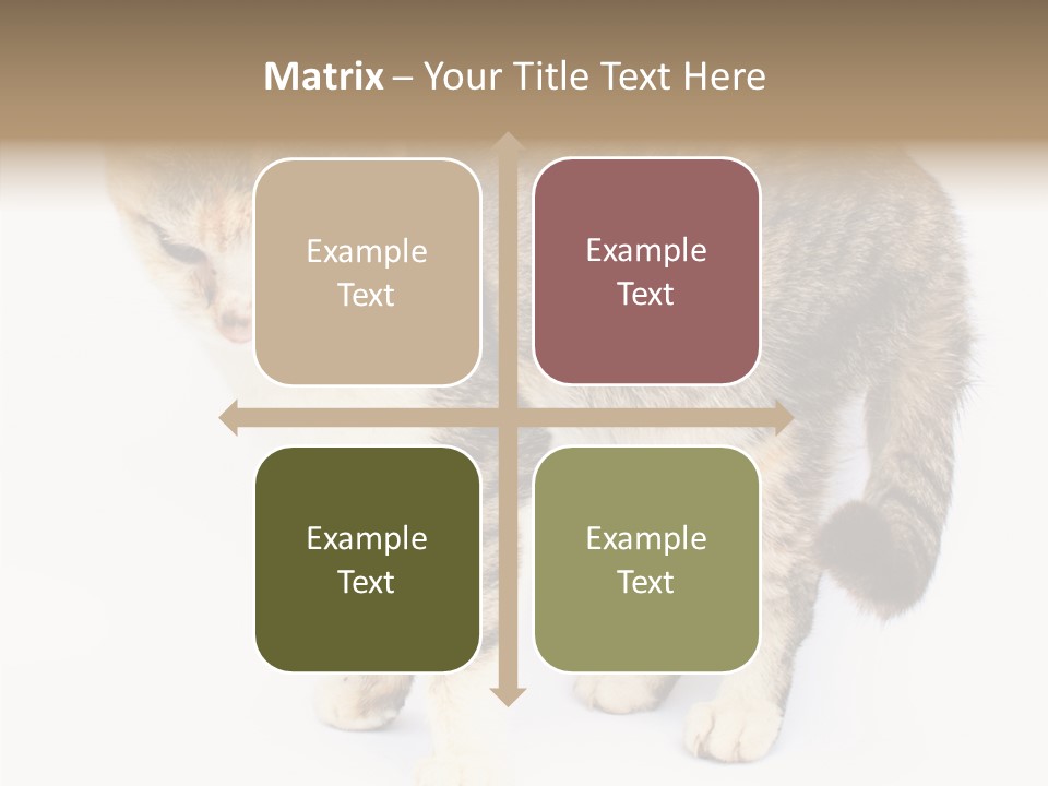 Grooming Smoke Sleep PowerPoint Template