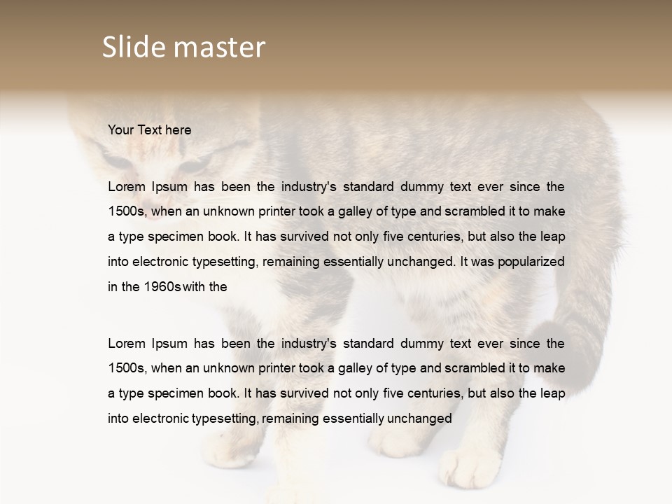 Grooming Smoke Sleep PowerPoint Template