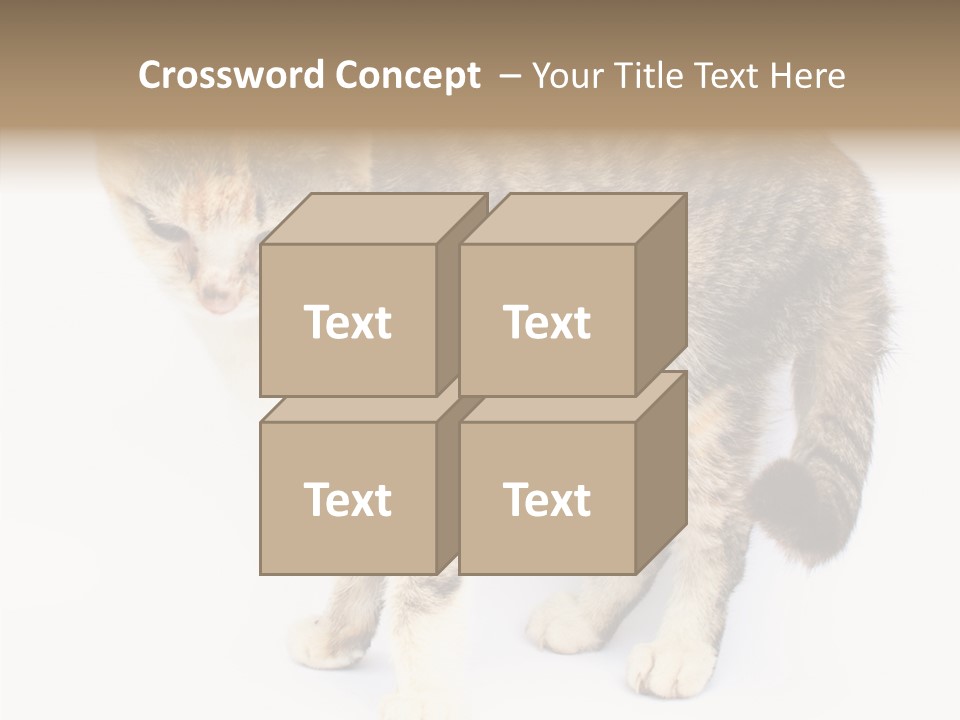 Grooming Smoke Sleep PowerPoint Template