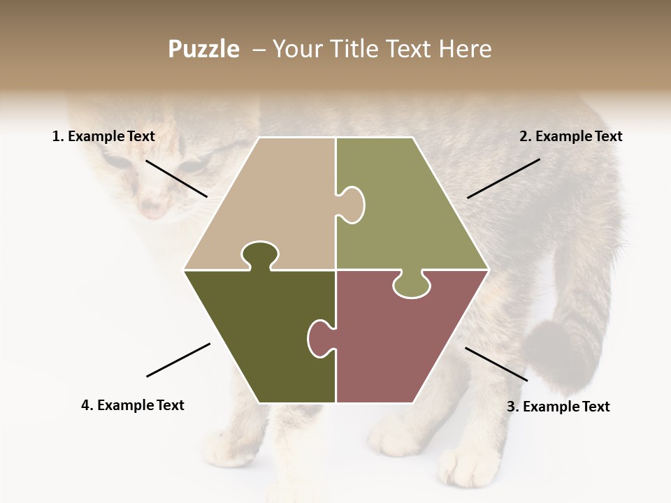 Grooming Smoke Sleep PowerPoint Template