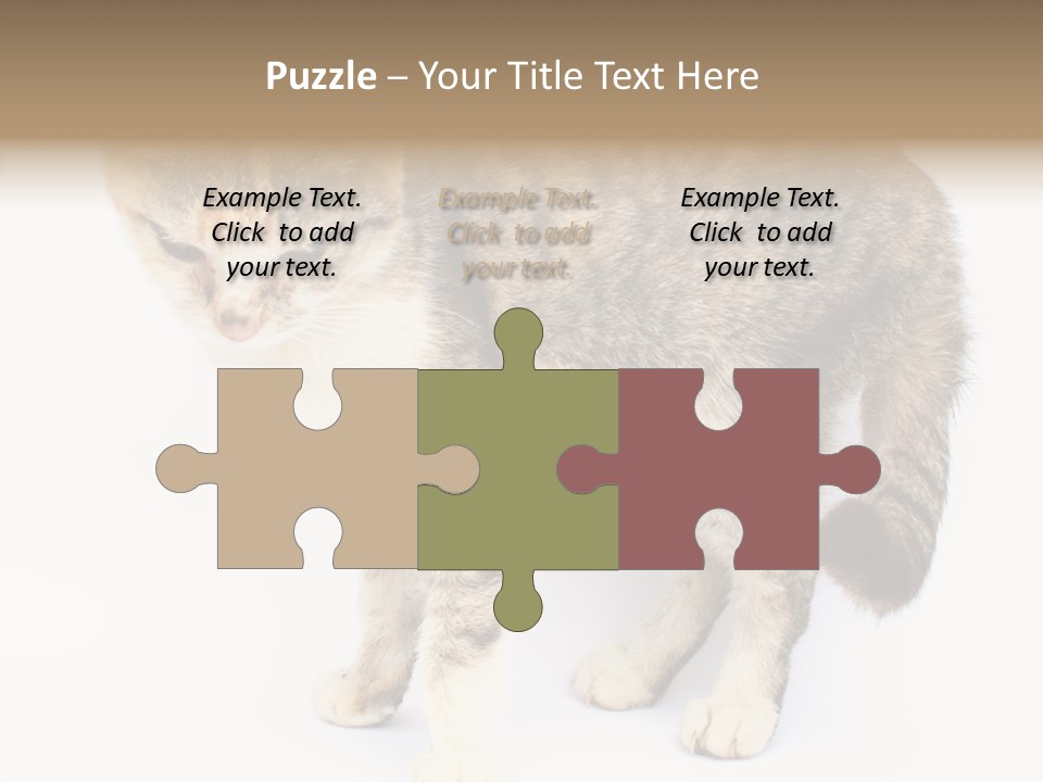 Grooming Smoke Sleep PowerPoint Template